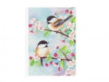 Картина по номерам арт. RAS20690 Пара птиц 20*30 в кор.