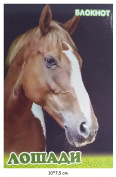 Блокнот Лошади 10х7,5 см №4 зеленый 16 стр.